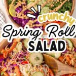 Pinterest pin for crunchy spring roll salad bowl.